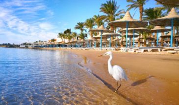 HURGHADA