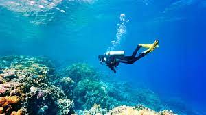 Plongée HURGHADA