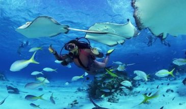 SHARM EL SHEIKH